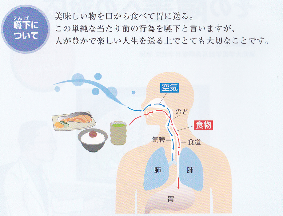 【オープニングセール】 誤嚥性肺炎の予防・リハビリ 藤谷順子先生 | 川村内科診療所様 語学+参考書