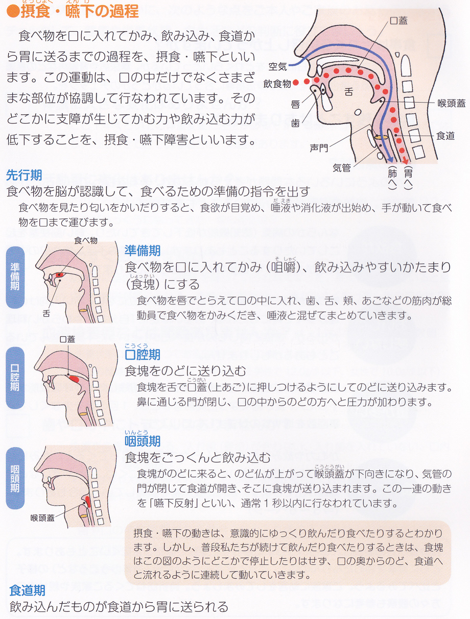 誤嚥性肺炎の予防・リハビリ 藤谷順子先生 | 川村内科診療所様