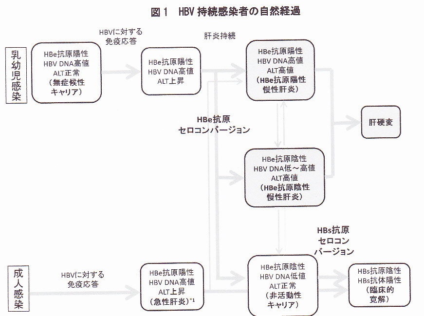 B型肝炎治療ガイドライン 水城啓先生 | 川村内科診療所様