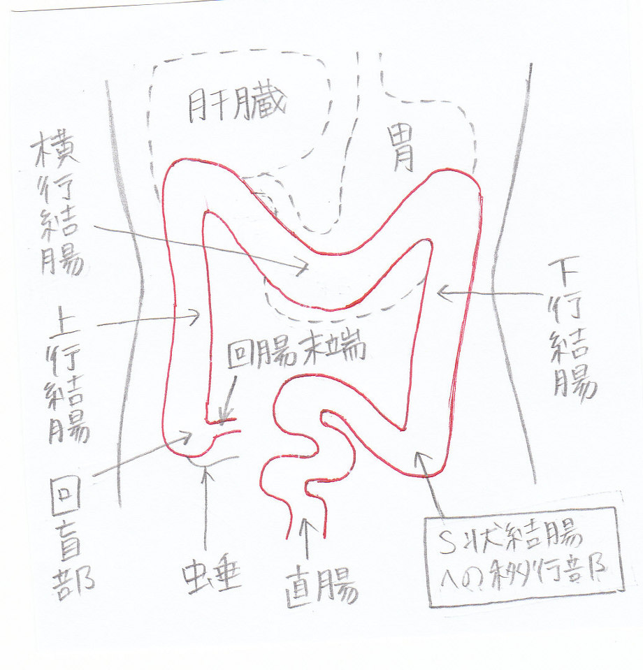 服の上から触れる クリアランス