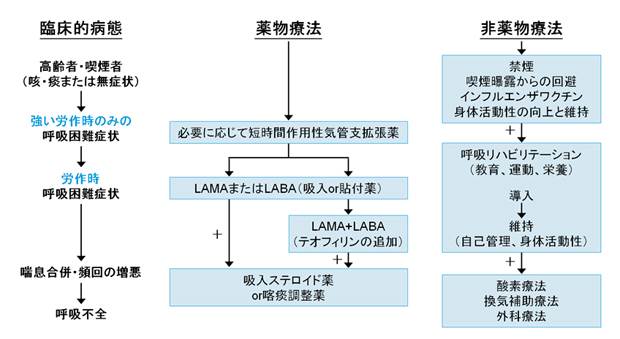 形態と機能からみた呼吸器疾患: 病態を読み解くメカニズム Amazon.co.jp: 形態と機能からみた呼吸器疾患: 病態を読み解く
