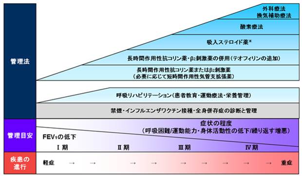 形態と機能からみた呼吸器疾患: 病態を読み解くメカニズム 新しいガイドラインに基づいたCOPD治療 東北大学 一ノ瀬正和教授