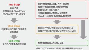 心アミロイドーシスの診療ガイドライン2025Ver.2 遠藤仁先生 | 川村